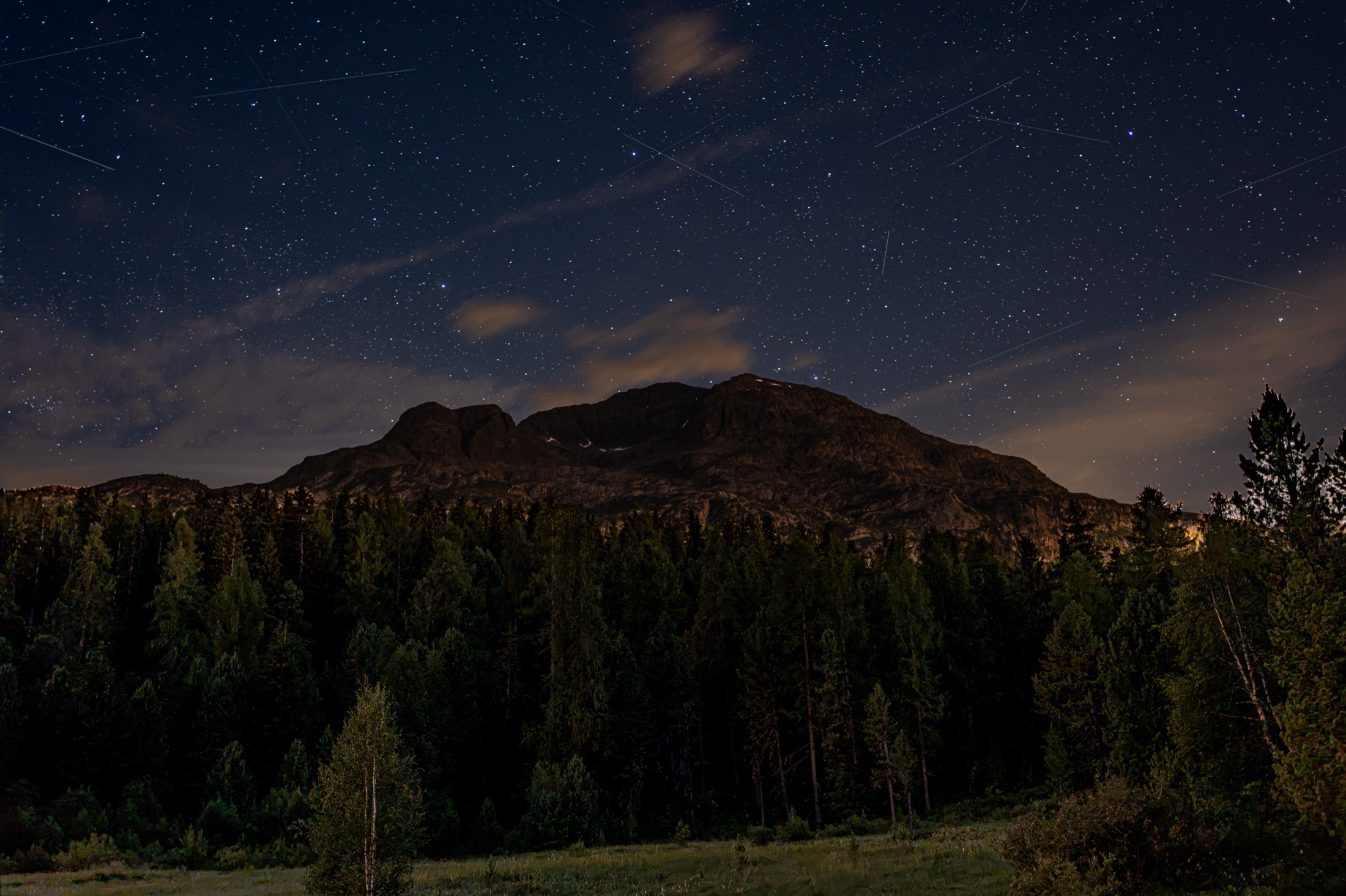 A starry night sky over a forested mountain ridge